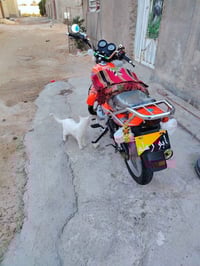 دايون مديل 23اوراق بسمي وصل معرض بسمي دراجه طالعه بيدي خير من الله ماب...