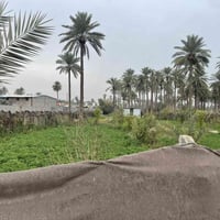 كربلاء • نص دونم • واجهه ٢٠م