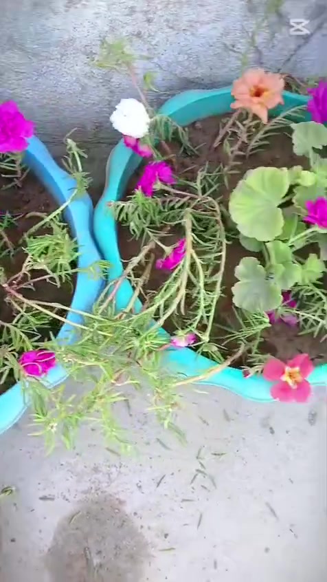 سلام عليكم ورحمة الله وبركاتة  توفر سنادنه ثلاثه احجام  تحتوي على ورد الصباح الحجز والستفسار مرسلتنا خاص


**إذا كنت صاحب هذا الإعلان وتريد حذفه لأي سبب، رجاءا أرسل رسالة إلى الدعم الفني**
