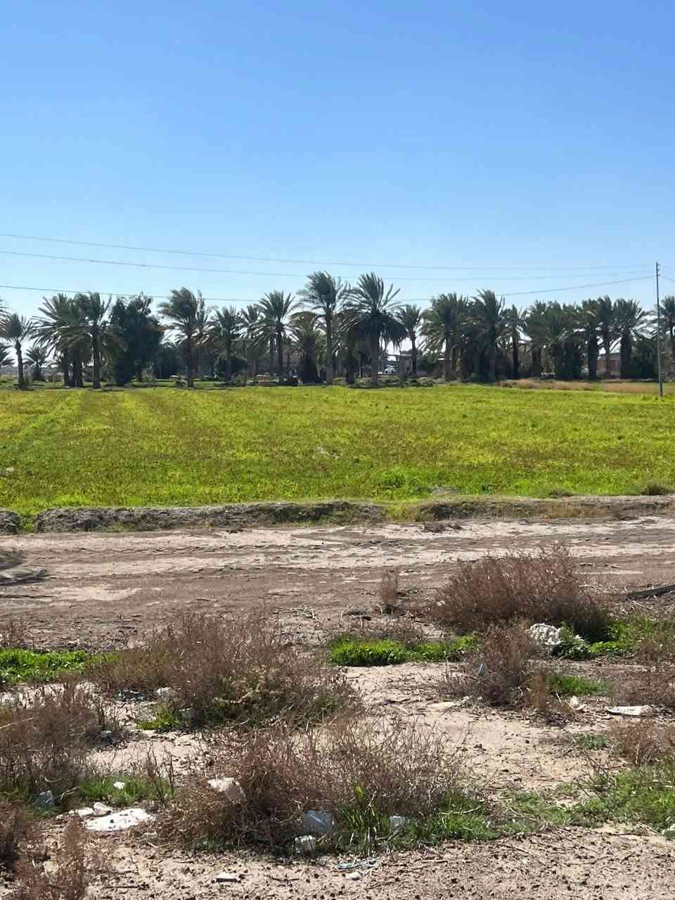 اخويه العزيز جايبلك عرض ابد ميضيع ✅
جايبلك 5 دوانم سعرهن كلهن ب 35 فرصه ذهبيه
يعني ال 5 دوانم شلعه ب 35 مليون فقط تواصل 
*********** متوفر واتساب بلأرقمام التاليه
 طابو سند 25 اصولي على شارع 10 مترات وواجهيه
الدونم الواحد 50×50 مربع منطقة امينه وسكينه
وزراعيه العنوان تاجي مقابيل مدينه سبع البور 
منطقة الشيخ عامر بلعيساويه خلف السور كامله
خدمات تفتر المنطقة كلهه وما تلگه بهيج سعر
والارض طابو سند 25 فتح بيان بأسم المشتري
 تواصل واتساب متوفر بلرقم *********** ✅
