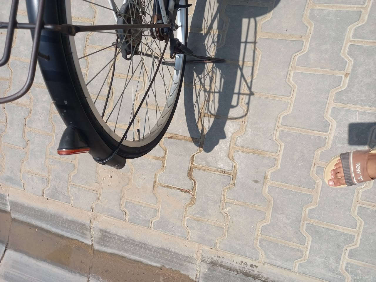 السلام عليكم
بيسكل بناتي جديد اصلي مختم ٢٠١٩ تواير جدد 
بيسكل بي صبغ موضح بالصوره بالون الأزرق 
سعر ٧٥ وبي مجال رقم للاستفتار ***********
العنوان بغداد شعله دوانم شارع ابو طياره

