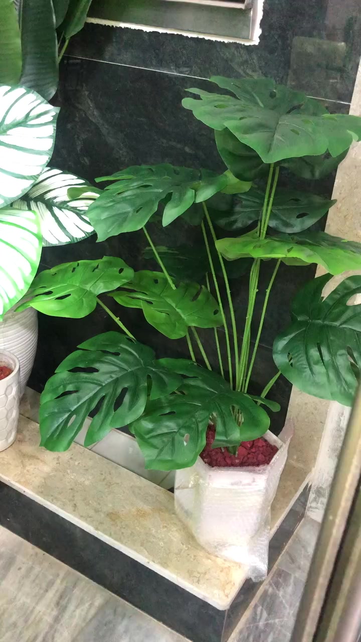 للبيغ بغداد الشعب


**إذا كنت صاحب هذا الإعلان وتريد حذفه لأي سبب، رجاءا أرسل رسالة إلى الدعم الفني**