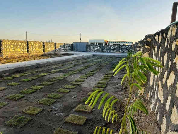 مزرعه للبيع مساحه ٨٢٥ متر مسيجه حجر سند ٢٥ مداور بناء حديث طابوك وكونكريت اساس رفت بيه غرفه 4في4 صاله 6 في 10  مطبخ ٣ في ٤ زاد حمامات وتواليت غربي ع طريق الدغاره ديوانية خلف مطعم واثق بلمازارع ***********
