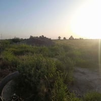 🌿 فرصة استثمارية مميزة – أرض زراعية للبيع على قرار 117 🌿  📍 المساحة: 1...