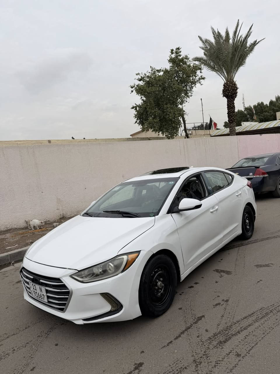 الانتره 2018   أمريكي فول مواصفات فتحه بصمه شاشه حساسات ( رقم بغداد جديد  بأسمي سنويه و هزه جدد ) سعرها  104  
محرك 2000 دوش وكير خير من الله 
وارد أمريكي  حادثها امامي و باب صور  حادث 
لغد وشاصي طخات خفيفه بدون لحيم وكص👇 
عد حادثها ب امريكا باقي ما بيها شي + صبغ عام اني صبغتها  وعندي فديو قبل صبغ
مكفوله من جفيه وكلبه  
ب عراق ما بيها حادث بس ب امريكا 
سياره حلوه ونظيفه تايرات و و باتري كلهن نضيفات  
سعرها 104 بيها شي قليل كلش مناسبه كلش  ب عافيه ع ياخذها. جماعت 95 لا تعب نفسك خويه  مقدما 
ما تعجبه كلمه طيبه صدقه 
للبيع فقط بدون مرواس 
***********.   📞شارع فلسطين
