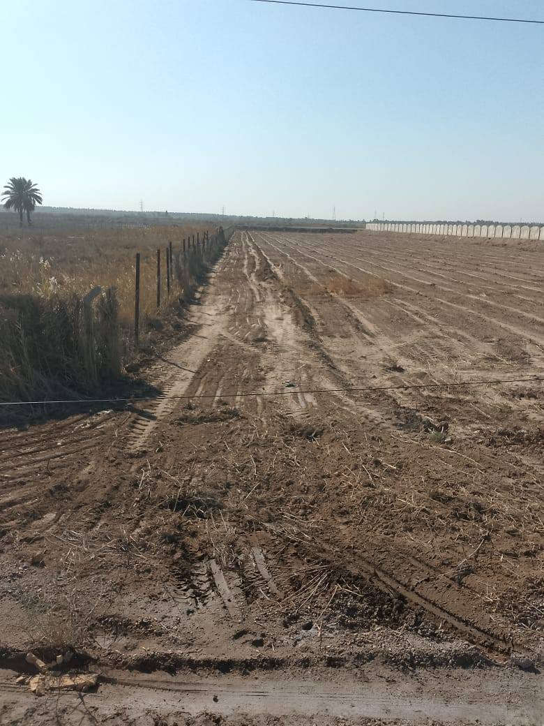 السلام عليكم
5 دونم ملك صرف
المدائن تويثه 
تبعد عن نهر دجله و السده ٧٠٠ متر
بيها كهرباء وماء وتبليط شارعها يطلع على سايدين المدائن 
موقع كلش حلو بناء يمها مزارع فخمه 
***********
***********
