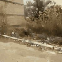 الجزيرة السياحية • ٢٠٠م • طابو زراعي