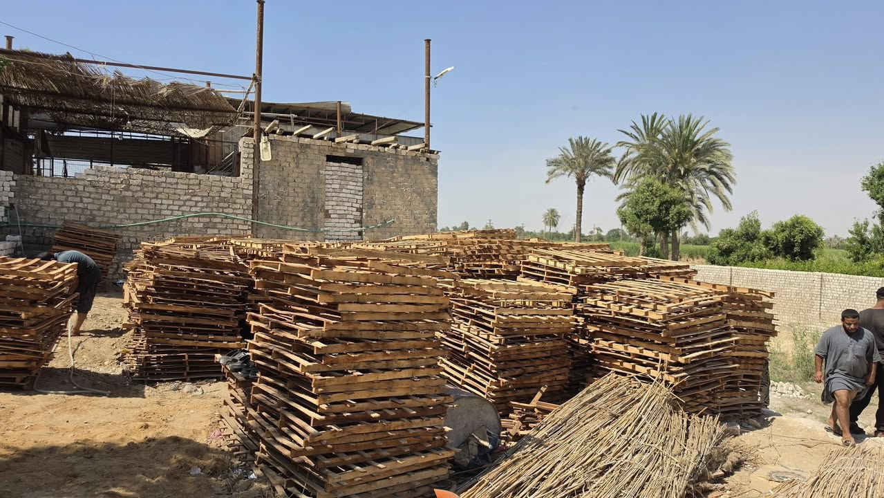 عندي 500بالته خشب احمر للبيع ل اعلي سعر


**إذا كنت صاحب هذا الإعلان وتريد حذفه لأي سبب، رجاءا أرسل رسالة إلى الدعم الفني**