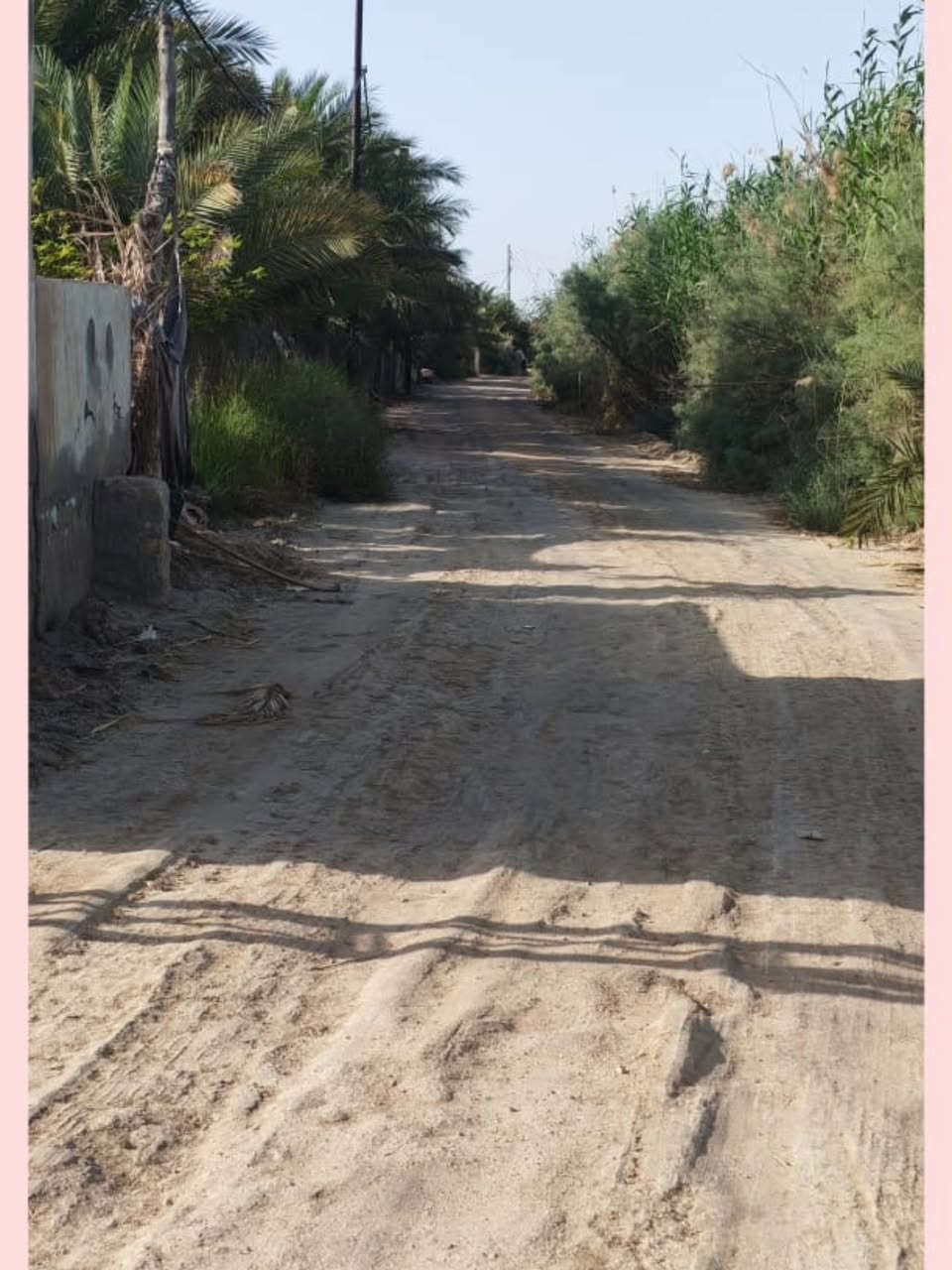 مزرعه مساحتها دونم  للبيع سند ٢٥
مساحته ٢٥٠٠م
موقعها على الشارع العام مباشرة  طريق ناصريه _ سوق الشيوخ_ققرب الغسل الاصفر
محتوياتها// مزرعه نخيل كافه الاصناف
             //بيوت عدد ثنين كامل مواصفات

               حسينيات ثنين للرجال والنساء بطول ١٧ م
               مزرعه عنب وتكي وسدر  وبرتقال خارجيه
              المزرعه موقعها ركن
موقعها على الشارع العام مباشرة رتهم مزرعه ترفيهيه وترهم موقع شركه  وترهم سكنيه وترهم ايجار

سعرها ٣٠٠ مليون وبيها مجال بسيط 

للتواصل والاستفسار //المسوق العقاري  علي دخيل 
***********
