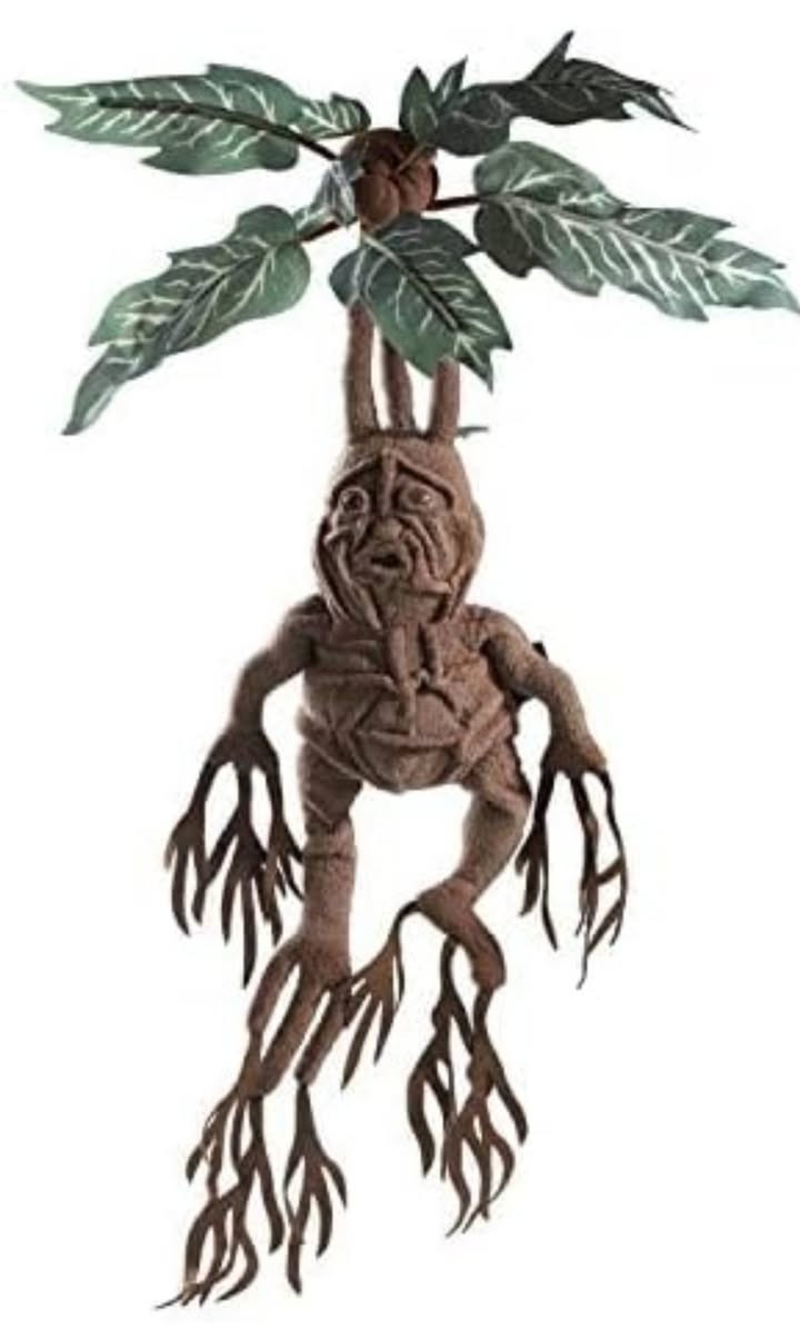 دمية ما ندريك من سلسلة هاري بوتر حجم 55 سم مخمل + هيكل معدني قابل للطي قطعه اصليه ترخيص نوبل كولكشن


**إذا كنت صاحب هذا الإعلان وتريد حذفه لأي سبب، رجاءا أرسل رسالة إلى الدعم الفني**