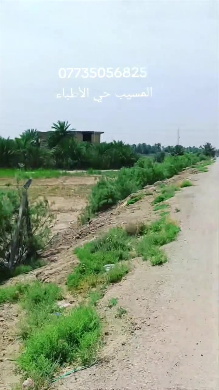 السلام عليكم ارض زراعيه للبيع طابو زراعي سند 25
مساحته 2000م 
تريد 500م فمافوق
خدمات ماء -كهرباء- تبليط 
الموقع المسيب حي الأطباء 
قريبه على شط الفرات 
مسيجه وكامله ترهم مخزن ترهم معمل 
*********** أو واتساب

