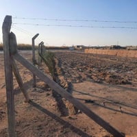 نصف دونم • هور امام نوح • طابو سند٢٥