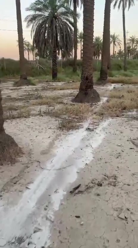 قرب الجسر الفرنسي قرب الالعاب ***********
