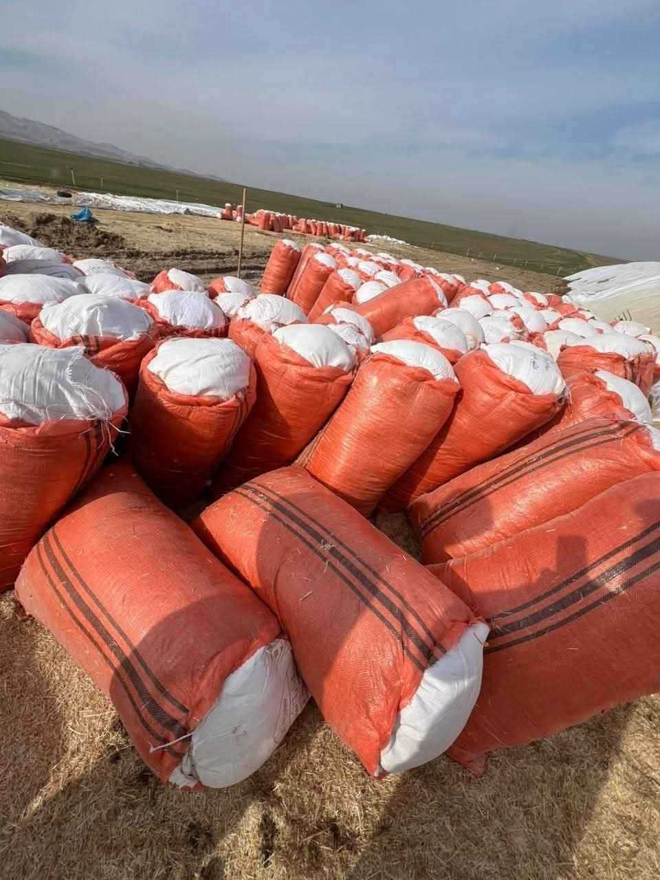 کامان هەیە بۆ فرۆشتن 
حەفتایی سەر قەباخ و
هەشتایی دەم دوور 
کایی دەڕاسەیە
شوین دەوورو بەریی کەرکووک
ژ.م:***********
*********** كركوك, العراق
