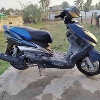 للبيع فقط بدون مراوس. سكنز فحل نوزل خطين بلاديه وشغاله من الطول للطول ...