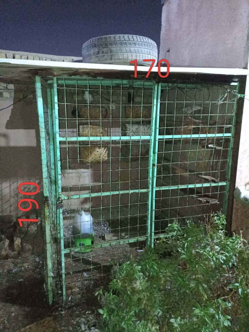 متاح  قمريات وقفاص قيم واخذ  حي المعلمين جديد 
***********
