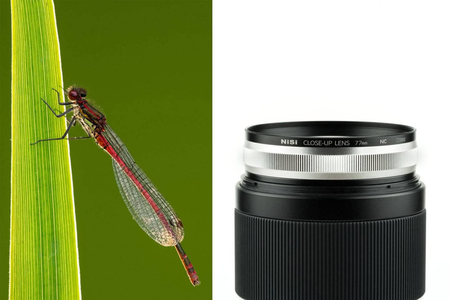 Nisi close up lens 77mm
عدسة تحول اي كاميرا الى ماكرو
كافة الملحقات (كارتون وجنطة وغطاء من الوجهين ورنك يحول من 77 الى 72mm
ورنك يحول من 77 الى  67mm
العدسة تنطي دقة تكبير 1:1
مغطاة بطبقات من النانو  nano coat
مفيدة لتصوير الشغلات الدقيقة(المجوهرات والاسنان والمنتجات الصغيرة والحشرات)
مفتوحة لغرض التجربة فقط 
عندي عدسة ماكرو فما استخدمت هاي
للبيع السعر 150 الف
علما سعرها الرسمي 155$


**إذا كنت صاحب هذا الإعلان وتريد حذفه لأي سبب، رجاءا أرسل رسالة إلى الدعم الفني**