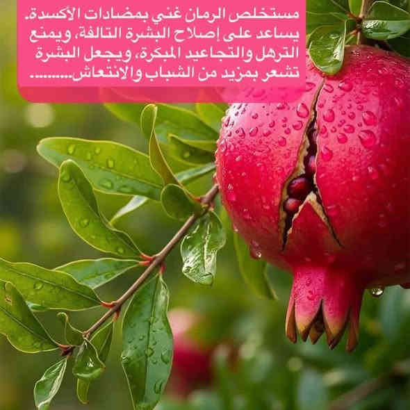 مرطب لوشن الرمان 
كميات آخيره 
بأسعار جداً مناسبة ( جمله ومفرد ) 
للحجز من خلال الصفحة 
او الواتس اپ 

‭0787 433 3860‬
