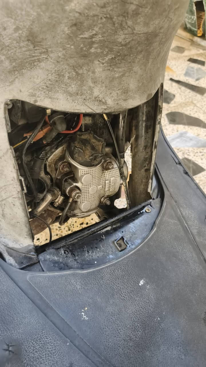 سلام عليكم  فراشه فحل اصل للبيع دراجه ناعمه حلوه عوزه شغلات بصيطه مكاني كوفه براكيه للتصال عله رقم  ***********
