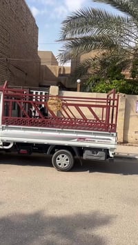 النجف • حي المكرمة • ٢٥٠م