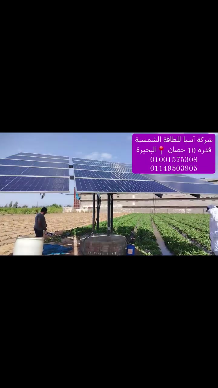 🧑‍🔧 تم تــوريــد وتركــيب محطة قدرة 10 كيلووات  وتشغيل موتـور سطحي إيطـالي قــدرة 10 حصان
بأعلي كفاءة  📌( البحيرة ) . 

🔥 أعلى جودة بأفضل أسعار 🤝
🌊 إروي أرضك ببلاش مـدي الحيــــــاة 👍

🤝 شكراً لثقتكم بنا  🙏 . 

🔴 للحجز والاستفسار يمكنكم التواصل على :
… موبايل📞  :  01001575308
… واتس 📱  :  01149503905

⚡ شـركة آسـيا للطـاقة هي إختيارك الأفضل👌


**إذا كنت صاحب هذا الإعلان وتريد حذفه لأي سبب، رجاءا أرسل رسالة إلى الدعم الفني**