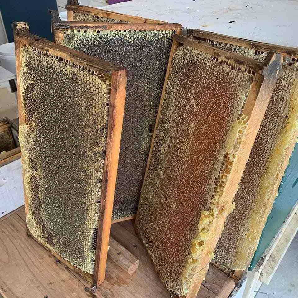 السلام عليكم يتوفر لدينا عسل طبيعي
فرز هذا الموسم 2026

السعر 50 الف

المكان برطلة 

للإستفسار 
***********
