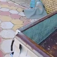 كيه بنكو 14 • كفالة عام • ناصرية