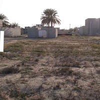 زراعي • سند ٢٥ • ١٤٨م