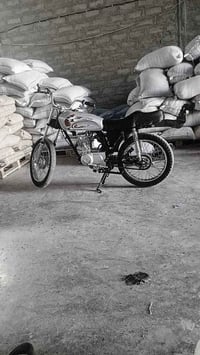 دراجة رابيدو • شاصي ٢٣-٢٦ • التاجي جسر الدوار