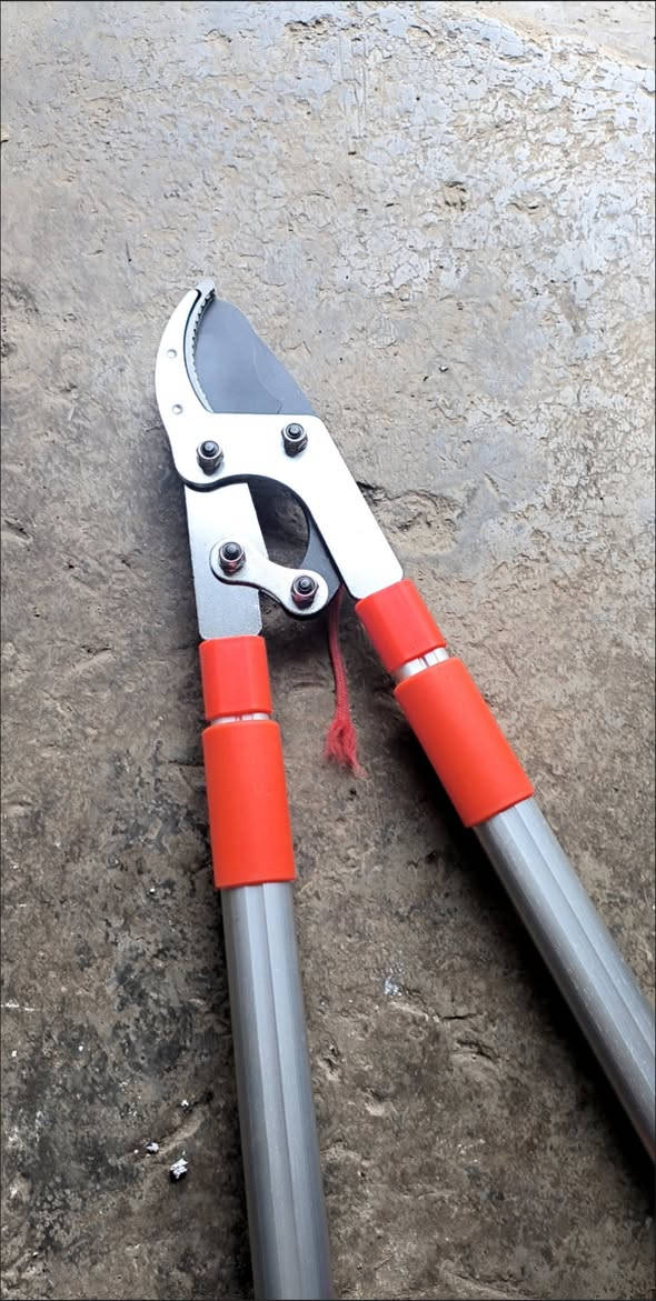 Chinese factory manufactured gear labor-saving thick branch pruning shear
Max cutting diameter up to 55mm, effortlessly cut thick branches
Stable supply with favorable price for bulk orders
Welcome your inquiry and negotiation

#PruningShear #ThickBranchCutter #GardenTools #ChineseFactorySupply #GearShear #TreeTrimming


**إذا كنت صاحب هذا الإعلان وتريد حذفه لأي سبب، رجاءا أرسل رسالة إلى الدعم الفني**