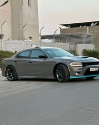 جارجر ارتي • ٢٠١٨ • وارد امريكي