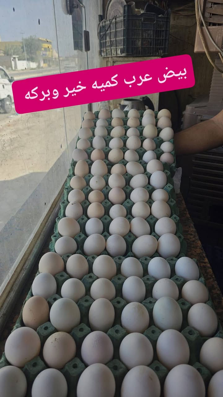 دهن حر بقري شرط الأستخدام 
بيض عرب كميه خير من الله 
تكريت القادسيه شارع البلاج قرب الصيدليه العالميه 
***********
