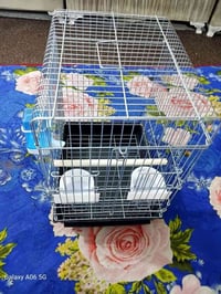 قفص • جديد • ببغاء