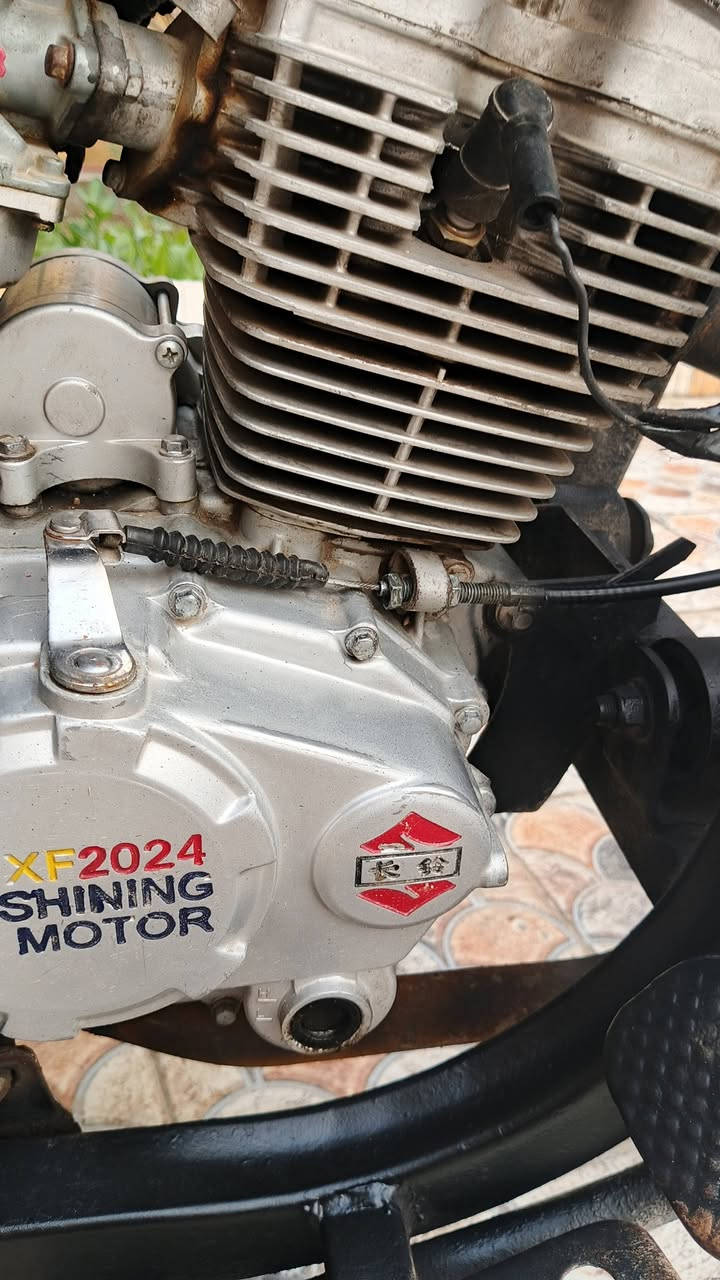 ستوتة للبيع
مكاني بلحمزة الغربي 
موديل 19 شاصي مكفول 
بيها مكينة 24
اوراق أصولي 
بيها لحيم بدرع 
سعرها مليون 

***********
