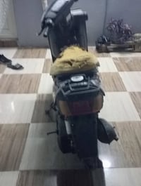 ياماهه • محرك نضيف • كركوك بنجاعلي