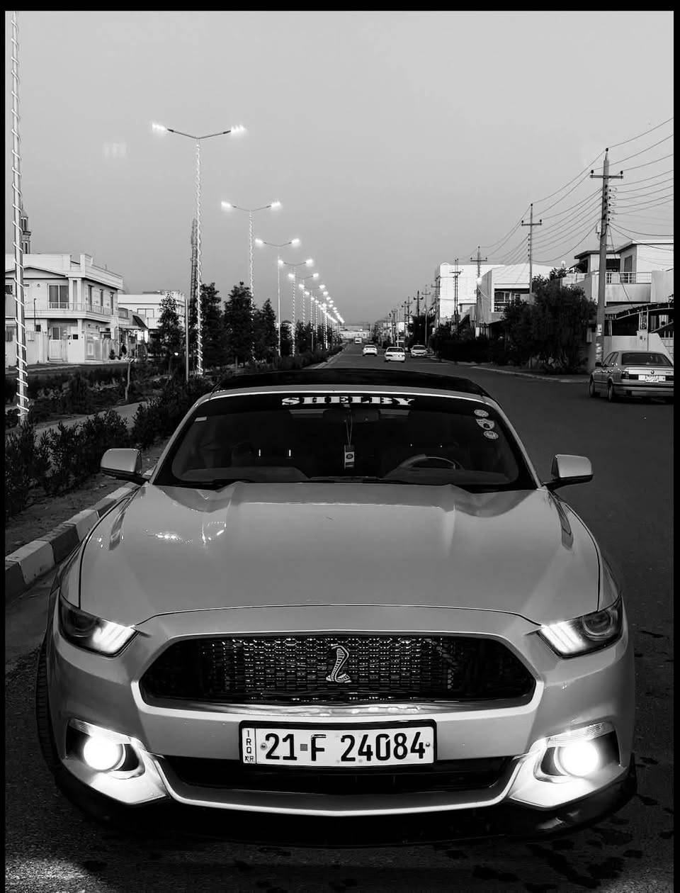 موستنك 🏇 
2016✔️ 
V6 ☠️
⚡️بدون ايرباك 
بدون شاصي 
كير محرك بشرط 
تبريد بشرط 
كشف مقحل شوي بس بشرط
ماشية ٨٠ 
ويالة اربعة وتايرات جديدة 
مكان اربيل 
سنوية هزه كلو جديد مناقصها اي شي
بيها صبغ وبخ كم قطعة ابيع حزام بدون ايرباك 
سعر 124 وبي مجال 

رقم الشاصي والصور الحادث بامريكا مرفقة 
***********
موجود واتساب واتصال
