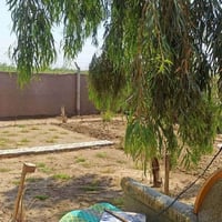 ٢٠٠م • طابو زراعي • سند ٢٥ مستلمين
