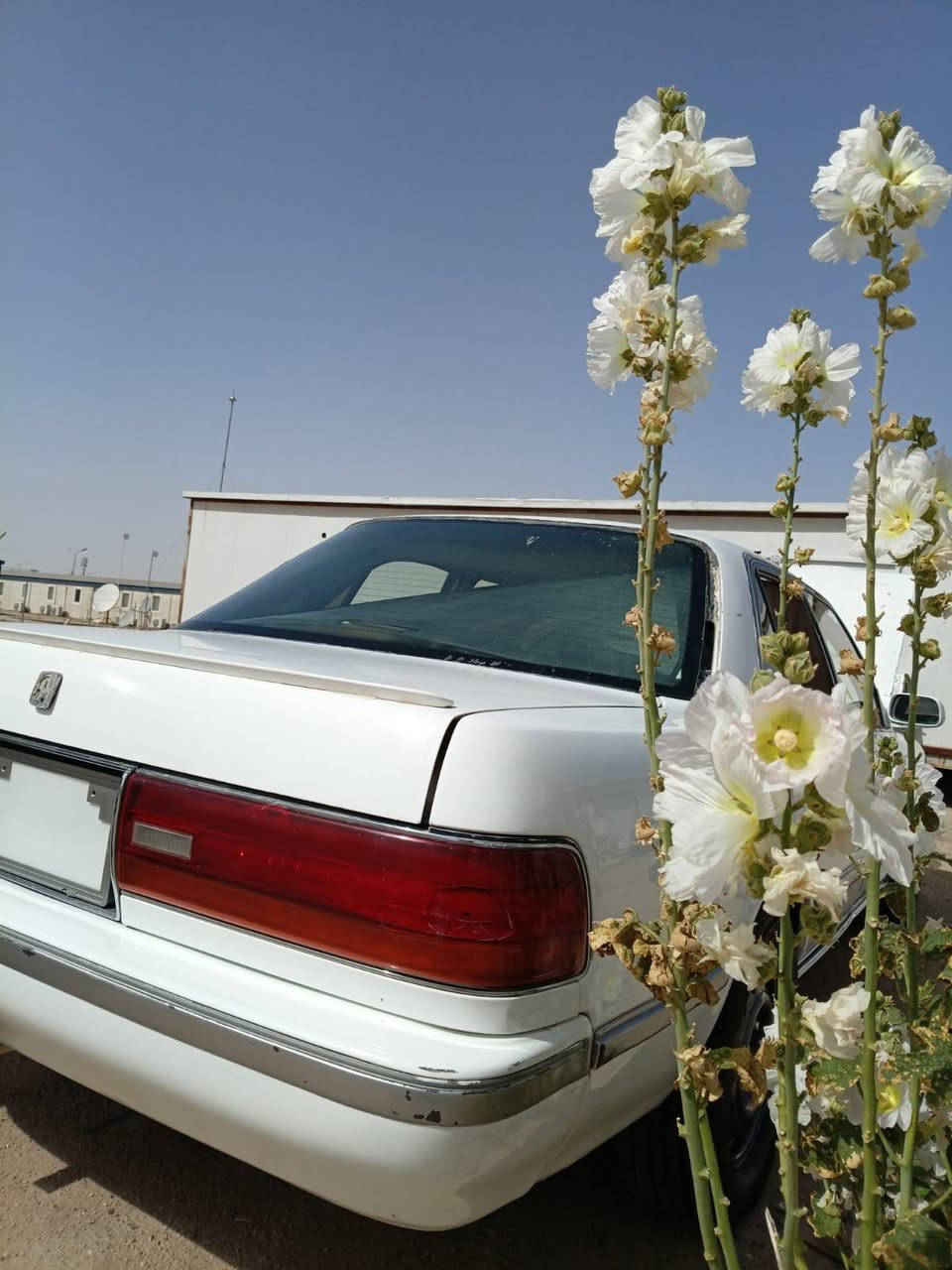 التفاصيل داخل الصور السعر 45


**إذا كنت صاحب هذا الإعلان وتريد حذفه لأي سبب، رجاءا أرسل رسالة إلى الدعم الفني**