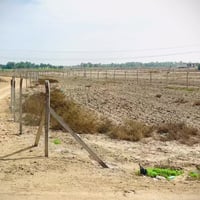 خلف جامعة بابل • ٣١٢٥م • طابو زراعي سند ٢٥