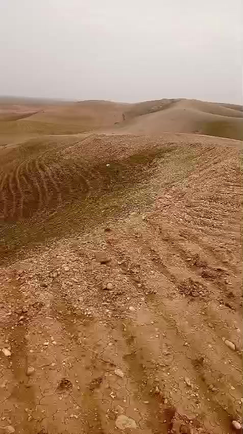 اقرا المنشور كامل ابيع اب هذه السعر لين عندي ضرف ومحتاج افلوس تنزيلات نص السعر عرض لأول مرة ومارح يتكرر اذا كل الأرض سعر الدونم مليون وربع واذا دونم سعر الدونم مليون ونص واذا اقساط سعر الدونم مليونين تدفع مليون والباقي اقساط مريح بدون كفيل للبيع ١٠٠ دونم للبيع وبسعر مناسب
ارض للبيع ١٠٠ دونم للبيع وبسعر مناسب سند 25 شرط التحويل طابو الحمدانيه 
والي ايريد كم دونم اقساط السعر يختلف اذا اقساط ادفع مقدمه مليون على كل دونم وباقي اقصد مريح بدون كفيل تقطيع حسب طلب الزبون
والي ايريد كم دونم هم ابيع الي ايريد قسم من الارض هم ابيع والي ايرد دونم بل بيع بالاقساط يدفع مقدمه والباقي اقساط هم ابيع الارض مسموح بيها البناء الارض مسموح بها البناء قريبه على فرع من نهر دجله وا قريبه على ماء الاسالة 1000 متر وقريبه عن التبليط 2000 متر اثنين كيلو من الموصل الى مفرق السلاميه ١٠. دقائق من من  سايدين كركوك مفرق السلاميه الى الأرض ٣ كيلو 

التواصل على الرقم *********** وتساب  اذا كل الارض اني طالب سعر مليون وربع 

تقطيع حسب طلب الزبون 
والي ايريد كم دونم اقساط السعر يختلف اذا اقساط ادفع مقدمه مليون على كل دونم وباقي اقساط مريح بدون كفيل ابيع حته لو دونم واحد هم ابي الأرض تصلح للزراعه و الأرض بستنان وا الأرض تصلح للتجشير الاشجار السياحه وا المتنزه 
اسعرمناسبه جدان اسال على الاسعر في المنطقة المجاورة متلكه اب هاذي الاسعار 

رابط موقع الأرض الخريطه https://maps.app.goo.gl/mYn8aRHi5pn9jxJE6?g_st=aw

https://maps.app.goo.gl/CYTkk4UL9vixWXkw7?g_st=aw

https://maps.app.goo.gl/aHvC6MnFMn72Tz8NA?g_st=aw

https://maps.app.goo.gl/uZqtr6vfx1UwMfBRA?g_st=aw
