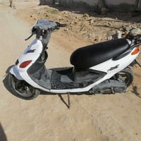 دولفين • فحل • ياباني