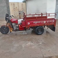 ستوته ديوان • مديل ١٦ • أوراق كامله