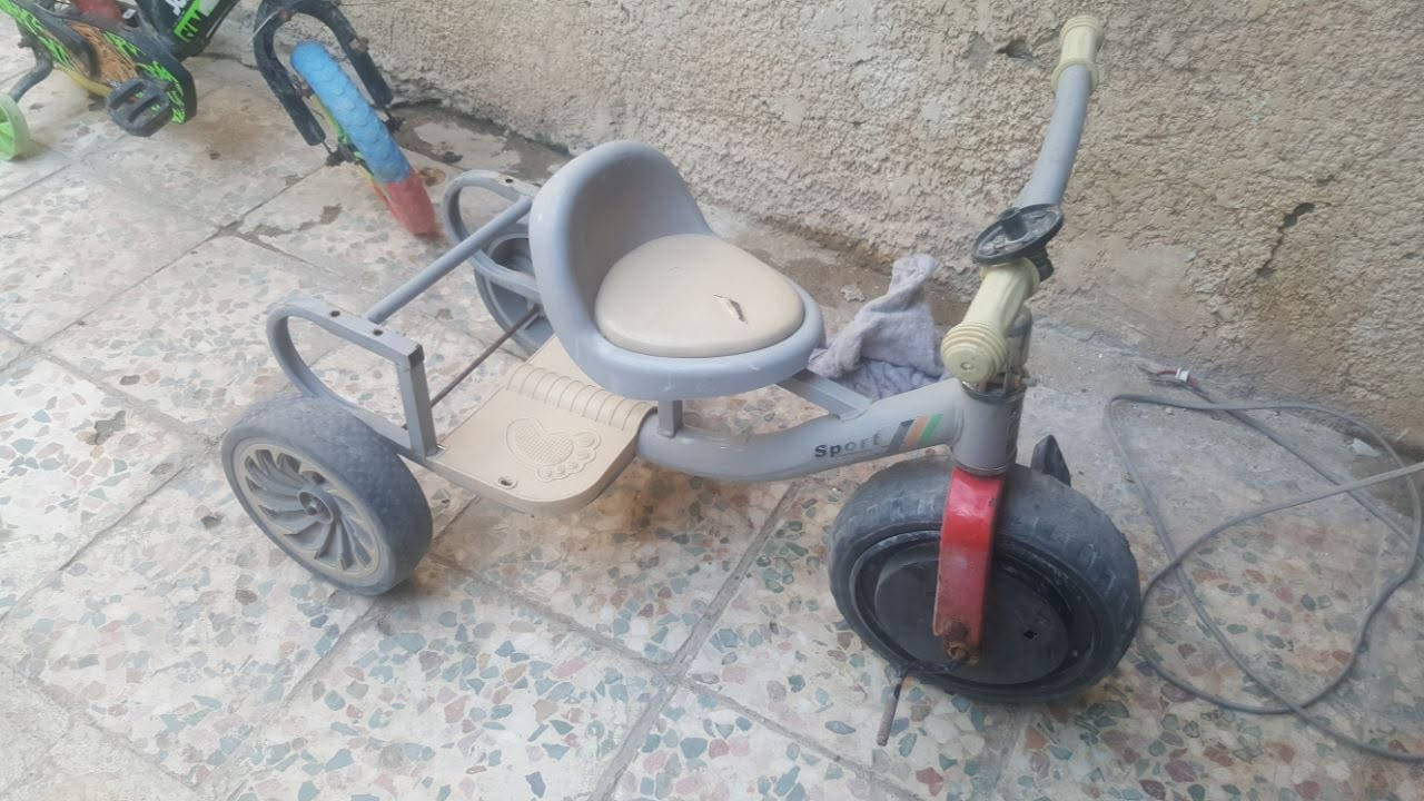 سعرهن 55 الف


**إذا كنت صاحب هذا الإعلان وتريد حذفه لأي سبب، رجاءا أرسل رسالة إلى الدعم الفني**