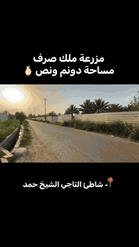 مزرعة • دونم ونص • شارع البوجميل