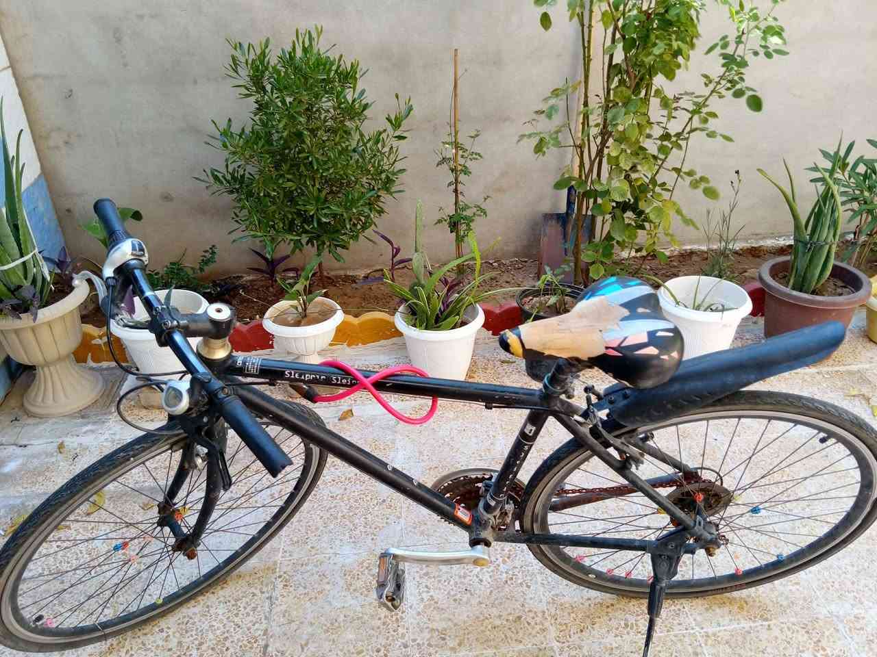 بايسكل للبيع حجم 26 بريكات شغال وكير شغال (الموصل ايسر)


**إذا كنت صاحب هذا الإعلان وتريد حذفه لأي سبب، رجاءا أرسل رسالة إلى الدعم الفني**
