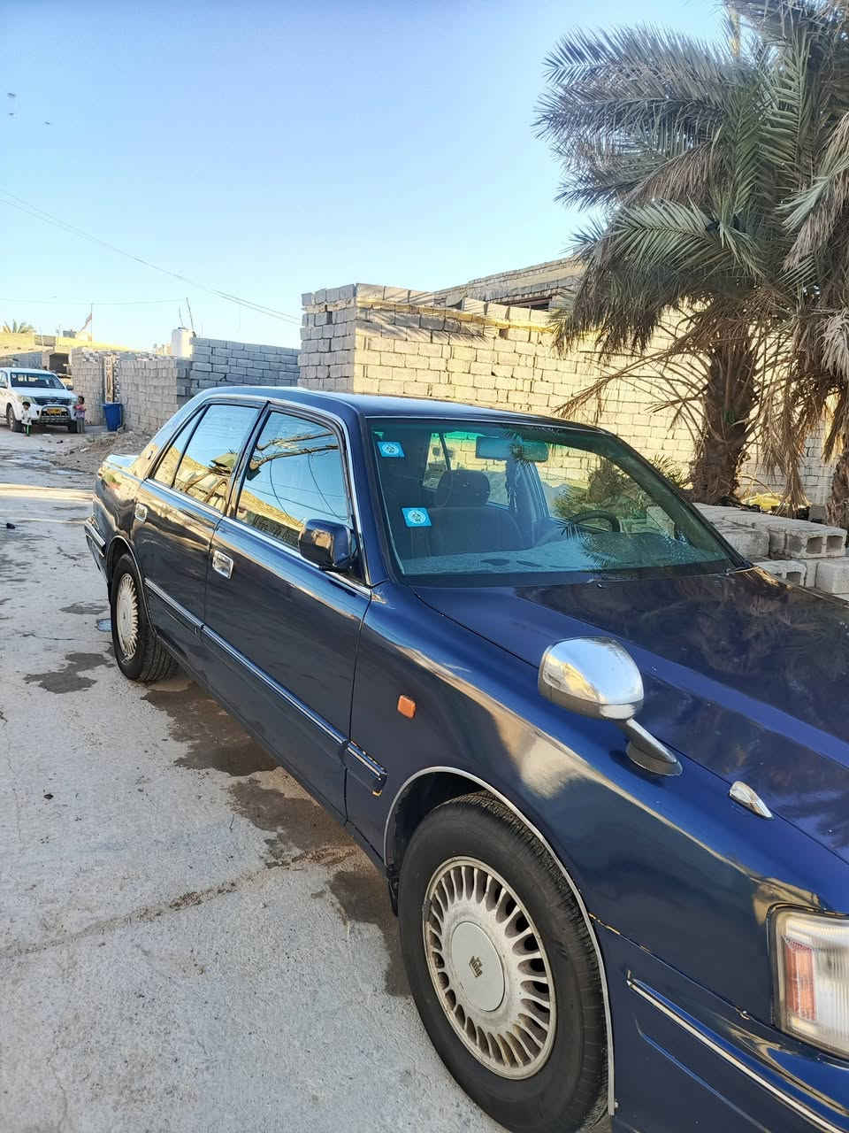 راس ثور تكم مكفوله من الكص والعيب الشرعي مصبوغه عام جماليه مكان شطره السعر 80 بيه مجال قليل الاتصال ***********
