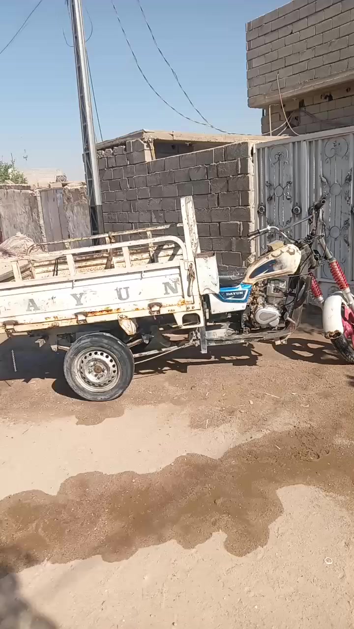 ستوته دايوان البيع كسن الطش تواير جدد نكره سلف مكاني بصره زبير *********** سعر ٨٥٠
