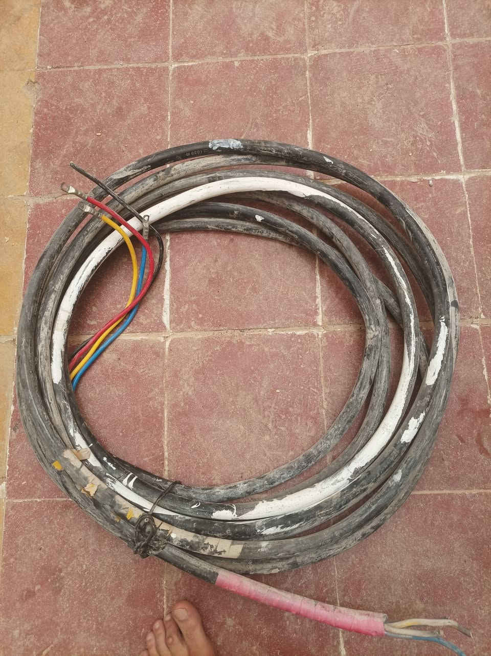 سعرهن 300


**إذا كنت صاحب هذا الإعلان وتريد حذفه لأي سبب، رجاءا أرسل رسالة إلى الدعم الفني**