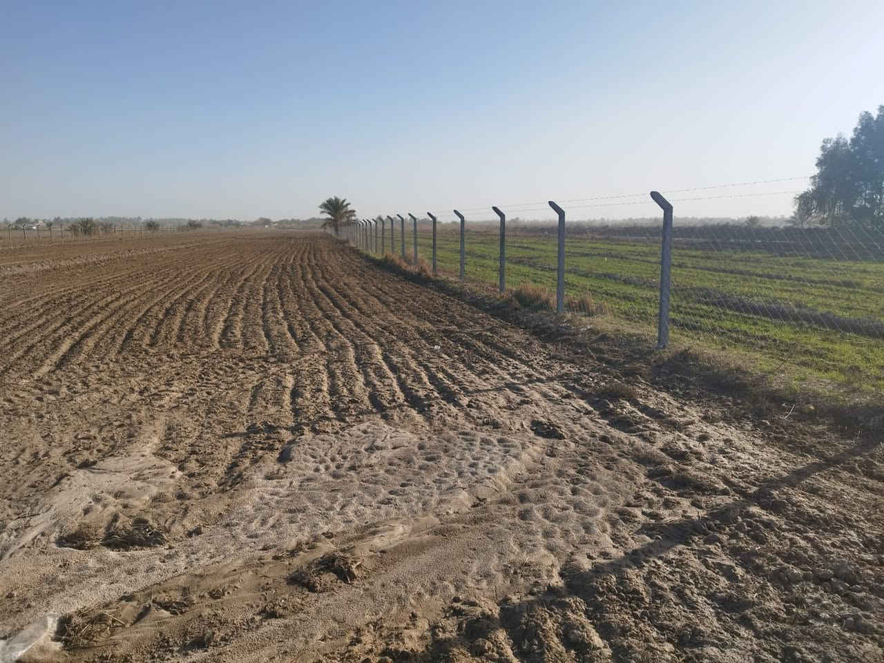 السلام عليكم 
ارض 8 دونم للبيع طريق كربلاء عقد زرعي
طريق يا حسين عمود 256 منطقه ام نعجه 
ارض طينيه واصله ماء وكهرباء 
ومايه من المشروع الرئيسي 
الأرض فارغه مسيجه وجاهزه يمه سكن وبساتين تبعد عن الشارع العام طريق كربلاء 2 كيلو 
هذا صور السكن الي بصفه وهذا البساتين الي مزروعه يمه 
***********
