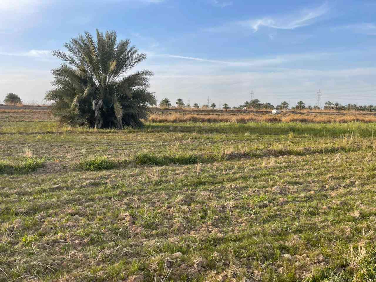 قطعة أرض للبيع....
طابو زراعي سند ٢٥ تحويل مباشر
الموقع الرمادي ناحية اليرموك تقع مابين مزرعة شيخ إحسان
والعرب قريبة من جميع الخدمات 
المساحة أربع دونم تباع حسب الطلب دونم او دونمين ثلاثة
الأرض صالحة للزراعة او اي مشروع استثماري
للسعر والاستفسار أكثر اتصال على الأرقام التالية
*********** واتساب
*********** واتساب
او مراسلة الصفحة في اي وقت نعتذر عن التأخير عن الرد في بعض الأحيان
نستقبل جميع العروض العقارية في مدينة الرمادي
ابو احمد
